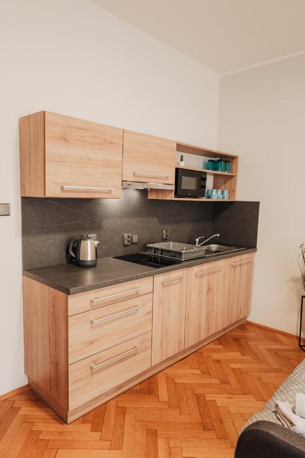 Elegant Studio, 400M From The Square Daire Plzeň Dış mekan fotoğraf